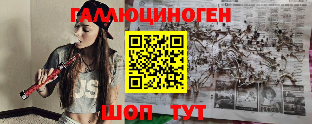 Асино  Псилоцибиновые грибы Psilocybine cubensis  Вход с VPN 