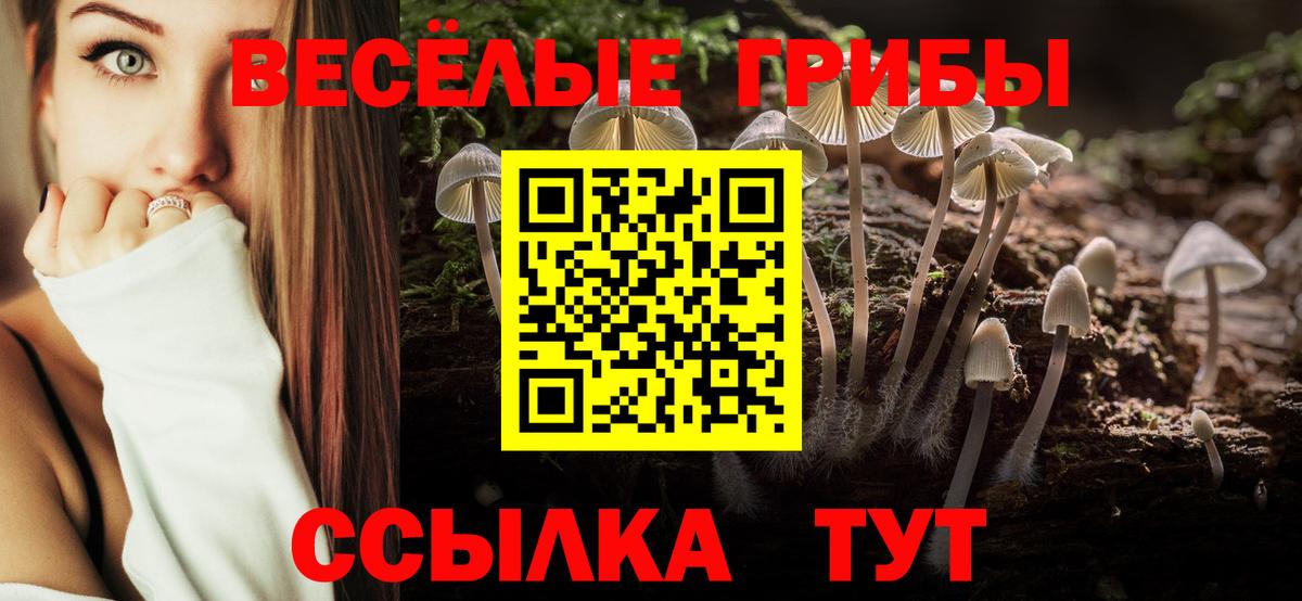 Галлюциногенные грибы Magic Shrooms Асино